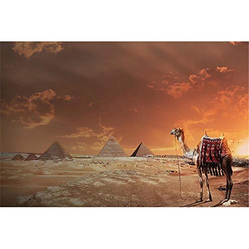 YINGXIN134 300PCS Pirámides y Camellos Rompecabezas para Adultos Adolescentes Rompecabezas Divertido Juego de Rompecabezas Grande, Rompecabezas de desafío Regalo 52.5 × 38.5cm