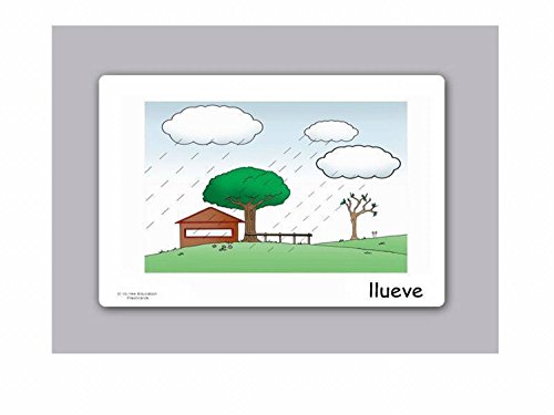 Yo-Yee Flashcards Tarjetas con Ilustraciones para el fomento del Aprendizaje del Idioma - Clima y Las Estaciones - para Las Clases de españolen guarderías, escuelas Infantiles y educación Primaria