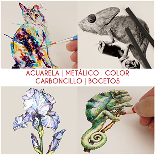 Zenacolor, Kit Dibujo, Maletín de Dibujo con 24 Lápices de Acuarela, 12 Lápices de Colores, 12 Lápices Metálicos, 12 Lápiz Papel y Un Cuaderno para Dibujar - 74 Piezas