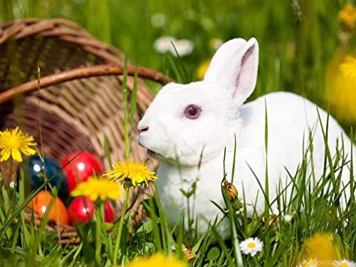 Adulto 1000 piezas rompecabezas animal conejo imagen rompecabezas de madera juguete educativo para niños rompecabezas A.13 1000 piezas