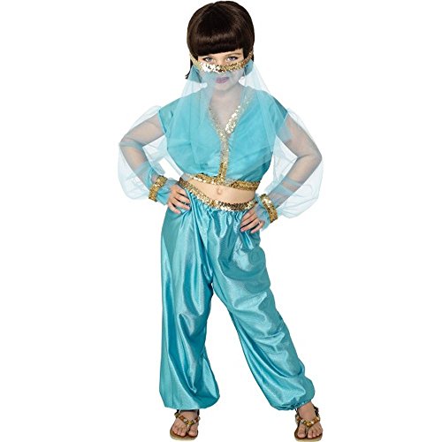 Arabian Princess Costume (L)