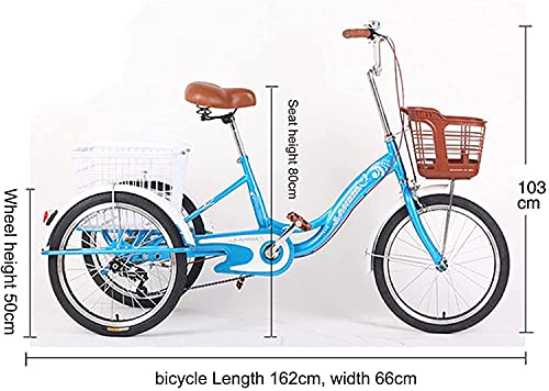 Bicicleta de crucero con triciclo para adultos par Triciclo for personas mayores adultos Mujeres, 1 velocidad de 3 ruedas triunas de bicicleta de 3 ruedas con cesta de la compra tres ruedas reclinadas