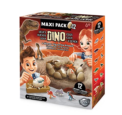 Buki France- Dinosaurios Dino Huevos Maxi Pack x12, Multicolor (2138)