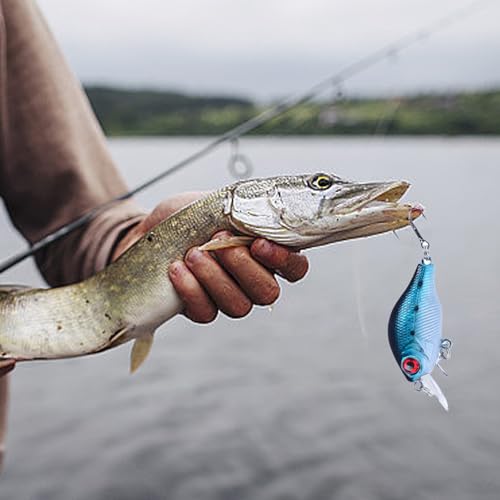 Calendario De Adviento Pesca Cuenta Atrás De Navidad - Calendario De Adviento De Pesca 2023, Fishing Advent Calendar 2023, 24 Espacios Divididos Anzuelos De Pesca Para Niños Adultos