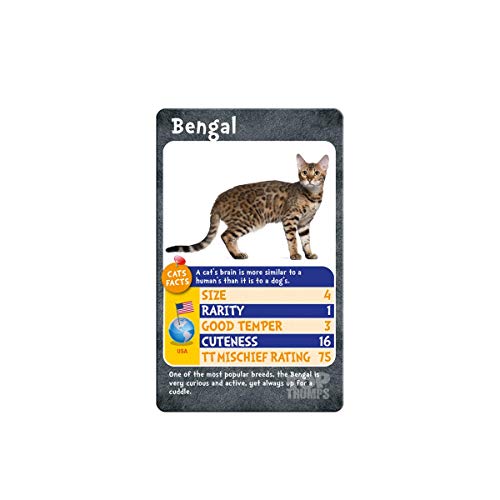 Cats Top Trumps