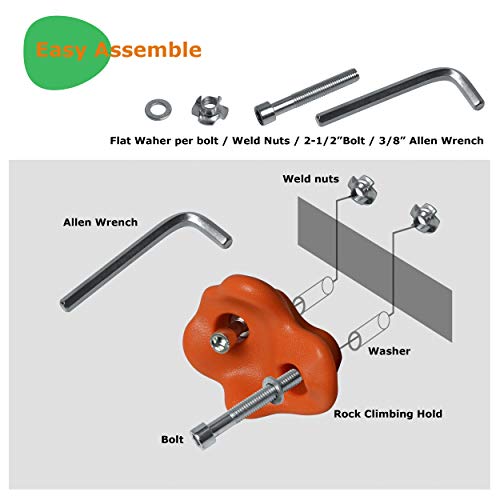 CHAIRLIN Presas de Escalada para niños Puños de trepa para rocódromos Rocódromos, coloreados para una Superficie de Escalada, cargables hasta 200 kg 25 Piezas Incl Juego de Tornill.