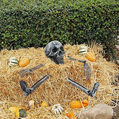 com-four® Juego de Huesos de 5 Piezas - Decoración Premium de Halloween - Esqueleto Humano Parcial con Anclaje al Suelo - Decoración de Huesos Artificiales para el jardín