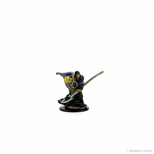 D&D Icons of the Realms Premium Figures (W4) Elf Paladin Female