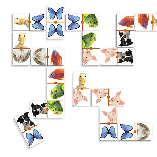 Diset - Domino Photo Animals, Juego de dominó fotográfico con animales a partir de 3 años