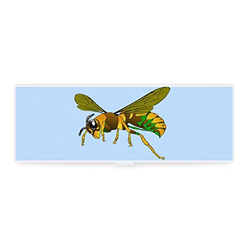 Divertido estuche transparente pequeño y grande para lápices, bolsa de accesorios, diseño de abejorro insecto venenoso aguja de insectos para jardín de infancia, primaria, universidad, estudiantes
