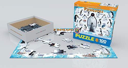 EuroGraphics - Rompecabezas Pingu, 100 Piezas (EG61000044)