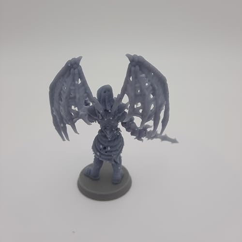 Genérico Aasimar Caído - El Necromante - Hero Creations - RPG - Mazmorras y dragones - DND - Pathfinder - Diorama - Figura en miniatura (gris/sin pintar)