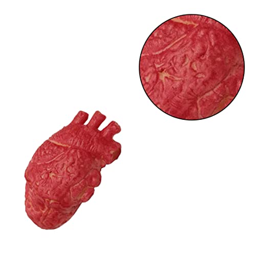 Ixppidxi Accesorio de corazón simulado Halloween Proporro sangrienta Partes simuladas Cuerpo órgano de Miedo para Decoraciones de la casa embrujada Prop