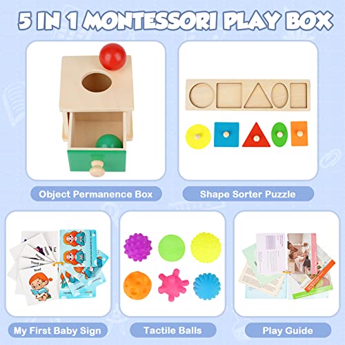 Juguetes Niños 2 Año Montessori 5 En 1 Juguetes Educativos de Madera Pelotas Sensoriales Bebe Caja Permanencia Montessori Juegos Educativos Regalo Bebe 2 3 Años