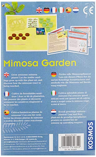 Kosmos Garden-Jardín Mimosa, Cultivo y exploración de Plantas Juego de experimentos para niños con Instrucciones multilingües (DE, EN, FR, IT, ES, NL), Multicolor, Small/Medium (616809)