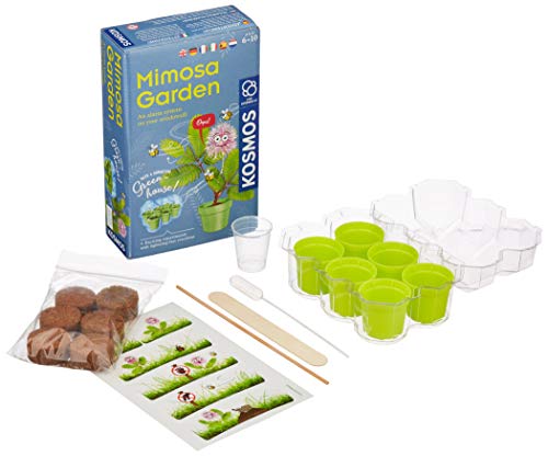 Kosmos Garden-Jardín Mimosa, Cultivo y exploración de Plantas Juego de experimentos para niños con Instrucciones multilingües (DE, EN, FR, IT, ES, NL), Multicolor, Small/Medium (616809)