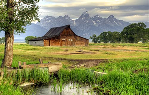 LHJOYSP Rompecabezas 1000 Piezas,Belleza Natural,Estados Unidos,Wyoming,Parque Nacional Grand Teton,Thomas Moreton Barn,75x50cm