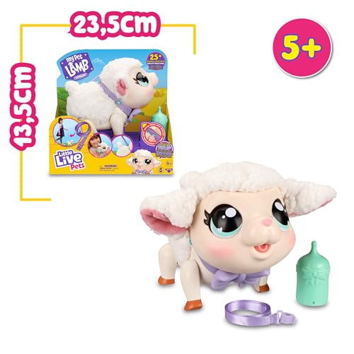 Little Live Pets - My Little Lamb Snowie, corderito interactivo, mascota para cuidar, con sonidos y movimientos, animalito de juguete camina, baila y come, niños +4 años, Famosa (LPK00010)