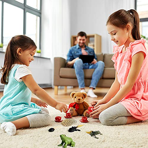 Modelo de Ciclo de Crecimiento de Tortugas en Miniatura, simulación Animal Estatua Juguete niños Aprendizaje temprano Juego Cognitivo, Accesorios de Enseñanza en El Aula Juguete Educativo para Niños