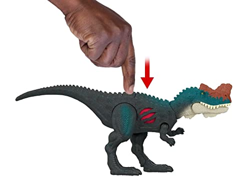 Mondo Jurassic Dominion - Dinosaurio de daño extremo "Genyodectes Serus" - Dinosaurio de juguete articulado de 18 cm - Dinosaurios para niños con daño de batalla HGP80- Multicolor