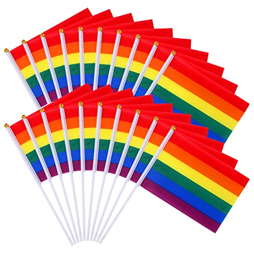 MOOOT 60 Piezas Banderas Orgullo Gay LGBT, Pequeña Banderas del Arco Iris, Banderas Mano para Decoraciones Mes Orgullo, Banderas de Decoración Día Orgullo, Accesorios para Orgullo LGBTQ