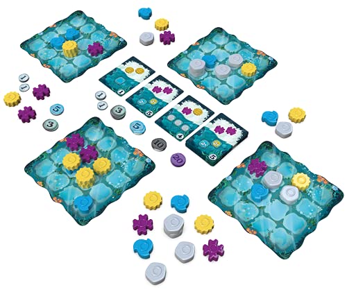 Next Move Games Asmodee Reef Second Edition | Juego Familiar | Juego de Mesa | 2-4 Jugadores | A Partir de 8 años | 30+ Minutos | alemán