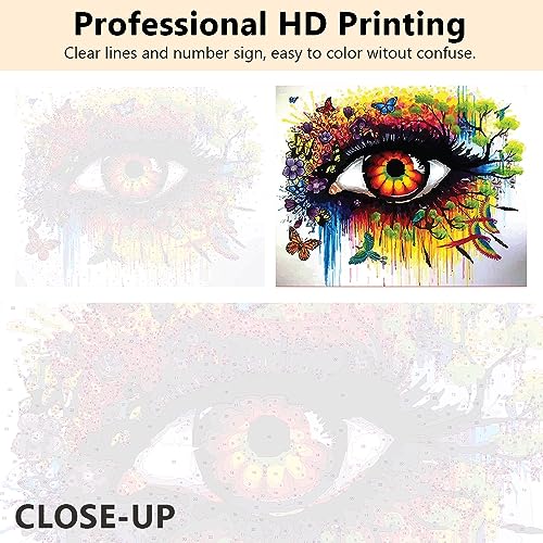 Pintura por números para adultos principiantes, pintura al óleo abstracta de ojos de acuarela por números kits sobre lienzo, ojo abstracto DIY pintura por números para niños de 8 a 12,16 x 20 pulgadas