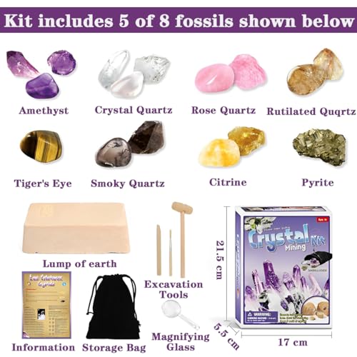 PTooTP Minerales y Piedras Preciosas para Niños, Kit de Excavación de Gemas para 6 7 8 9 10 Años, Piedras y Cristales Naturales, Rock Gem Mineral, Kit para Niños Ciencia Educación Regalo di Cumpleaños