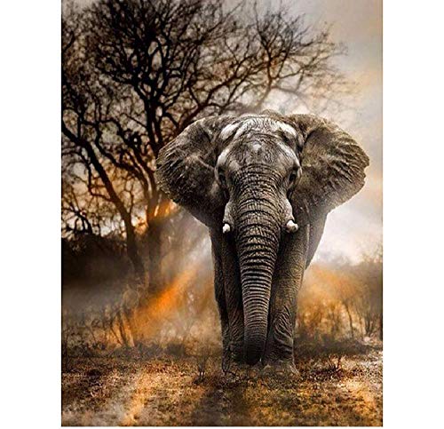 Puzzle 1000 Piezas Niños Adulto Elefante En El Bosque Animal Pintura Art Deco Casera