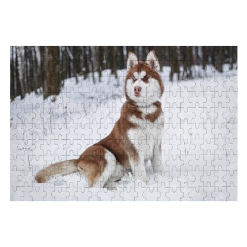 Puzzle para adultos, 1000 piezas, perro trineo husky, rompecabezas educativo de dibujos animados, juguete para niños, regalo personalizado, rompecabezas para perros, 1000 piezas para adultos y niños