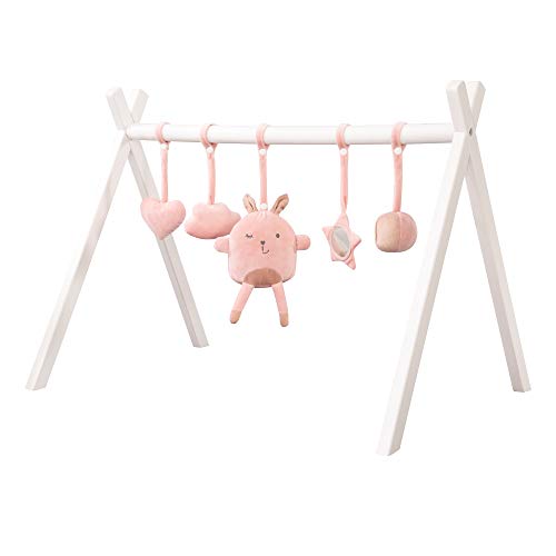 roba Lil Cutie Lily - Juego de 5 figuras para colgar en el arco de juego y Montessori, juguete de actividad para colgar, color rosa