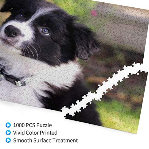 Rompecabezas de 1000 Piezas Border Collie Blur Puppy Pets Negro Blanco Rompecabezas de Madera de Juguete Juego Familiar Decoración de Pared para Adultos y Adolescentes