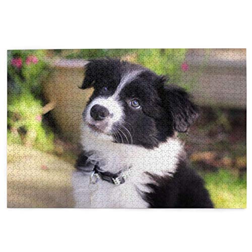 Rompecabezas de 1000 Piezas Border Collie Blur Puppy Pets Negro Blanco Rompecabezas de Madera de Juguete Juego Familiar Decoración de Pared para Adultos y Adolescentes