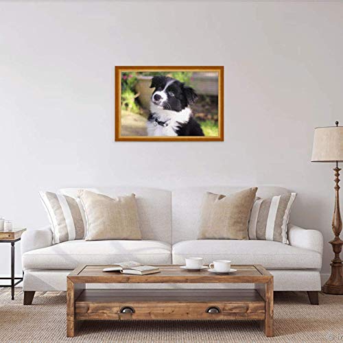 Rompecabezas de 1000 Piezas Border Collie Blur Puppy Pets Negro Blanco Rompecabezas de Madera de Juguete Juego Familiar Decoración de Pared para Adultos y Adolescentes