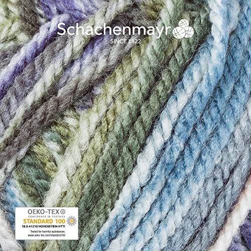 Schachenmayr Bravo Color, 50G moor Hilos Para Tejer A Mano