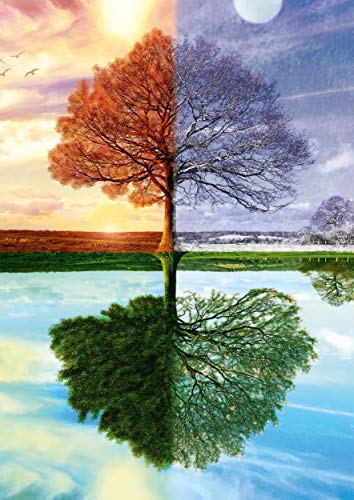 Schmidt , The Seasons Tree Puzzle - 500pc, Puzzle, Ages 12+, 1 Players