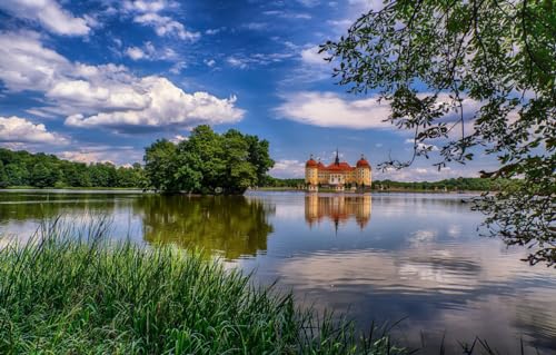 SPLIUYG 3D Puzzle 1000 Piezas árboles, Lago, Alemania, Sajonia, Moritzburg, 75x50cm