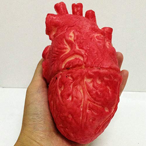 Srliya Modelo de Corazón Humano Falso de Látex, Corazón Falso de Tamaño Real, Accesorios de Terror Sangrientos para Halloween, Accesorio de Terror de Halloween, Comida Zombi Sangrienta,