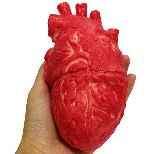 Srliya Modelo de Corazón Humano Falso de Látex, Corazón Falso de Tamaño Real, Accesorios de Terror Sangrientos para Halloween, Accesorio de Terror de Halloween, Comida Zombi Sangrienta,