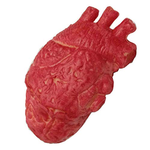 Srliya Modelo de Corazón Humano Falso de Látex, Corazón Falso de Tamaño Real, Accesorios de Terror Sangrientos para Halloween, Accesorio de Terror de Halloween, Comida Zombi Sangrienta,