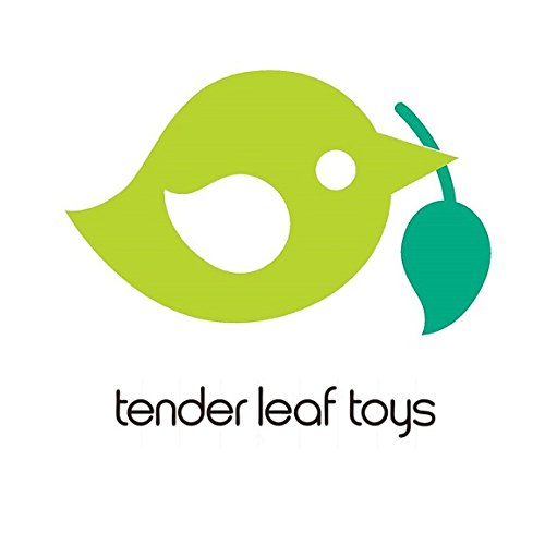 Tender Leaf Toys- Batidora de Smoothie (TL8229)