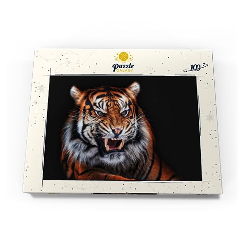 Un Tigre De Sumatra sobre Un Fondo Negro - Premium 100 Piezas Puzzles - Colección Especial MyPuzzle de Puzzle Galaxy