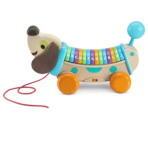 VTech VTech-80-615222 Eco Perrito Infantil Paseos, Descubre Letras y Canciones, Juguete de Arrastre para bebés +12 Meses, versión española, Multicolor, único (80-615222)