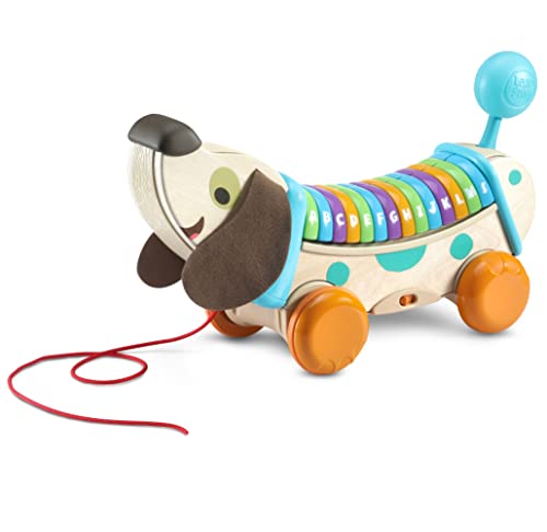 VTech VTech-80-615222 Eco Perrito Infantil Paseos, Descubre Letras y Canciones, Juguete de Arrastre para bebés +12 Meses, versión española, Multicolor, único (80-615222)