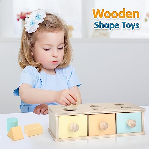 Wisplye Juguetes Clasificador de Formas, Caja de Permanencia de Objetos, Cubo de Madera para Clasificar Formas Juegos Montessori Educativos Regalo para Niños Niñas 1 2 3 4 5 Años