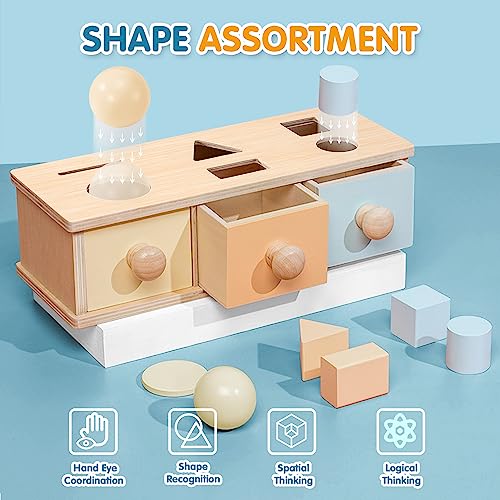 Wisplye Juguetes Clasificador de Formas, Caja de Permanencia de Objetos, Cubo de Madera para Clasificar Formas Juegos Montessori Educativos Regalo para Niños Niñas 1 2 3 4 5 Años