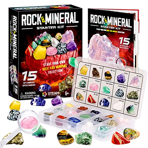 XXTOYS Kit de 15 Minerales y Piedrass Preciosas Juegos para Ninos, Caja Minerales para Niños, Regalo Científico de Mineral Natural para Niños y Niñas 6 7 8 9 10 11 12 Años