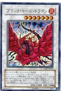 Yu-Gi-Oh card - Black Rose Dragon] [Ultra] DT04-JPB01-UR book comes with card (japan import)