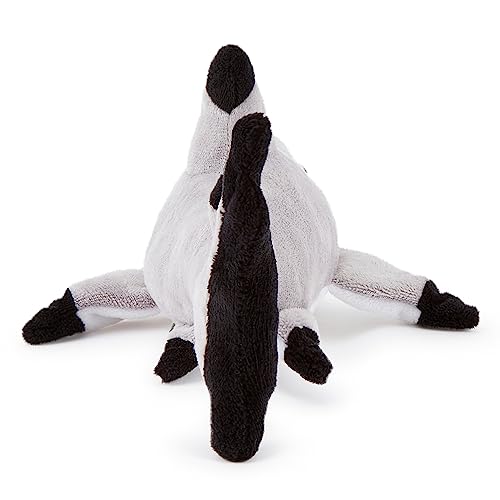 Zappi Co Peluche de Tiburón con Punta Negra 100% Reciclado (30cm de Largo) Relleno, Suave, Acogedor, colección de Animales ecológica para el Primer niño recién Nacido