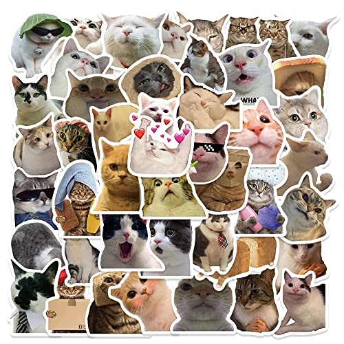 50 Pcs Meme Stickers Pegatinas de moda (PVC) Meme Pegatinas de Vinilo para Monopatín, Portátil, Guitarra, Estuche de Viaje, Equipaje, Coche, Bicicleta, Resistente al Agua etc